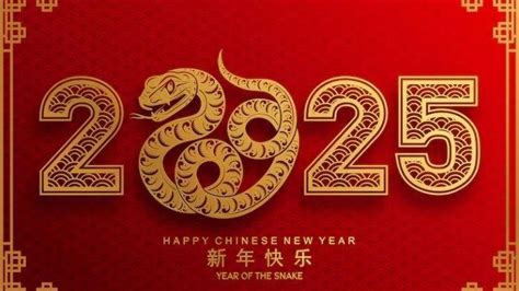 Hao dong xi 2025
